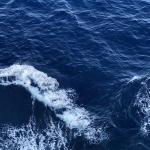 Meet your Posher, Samira